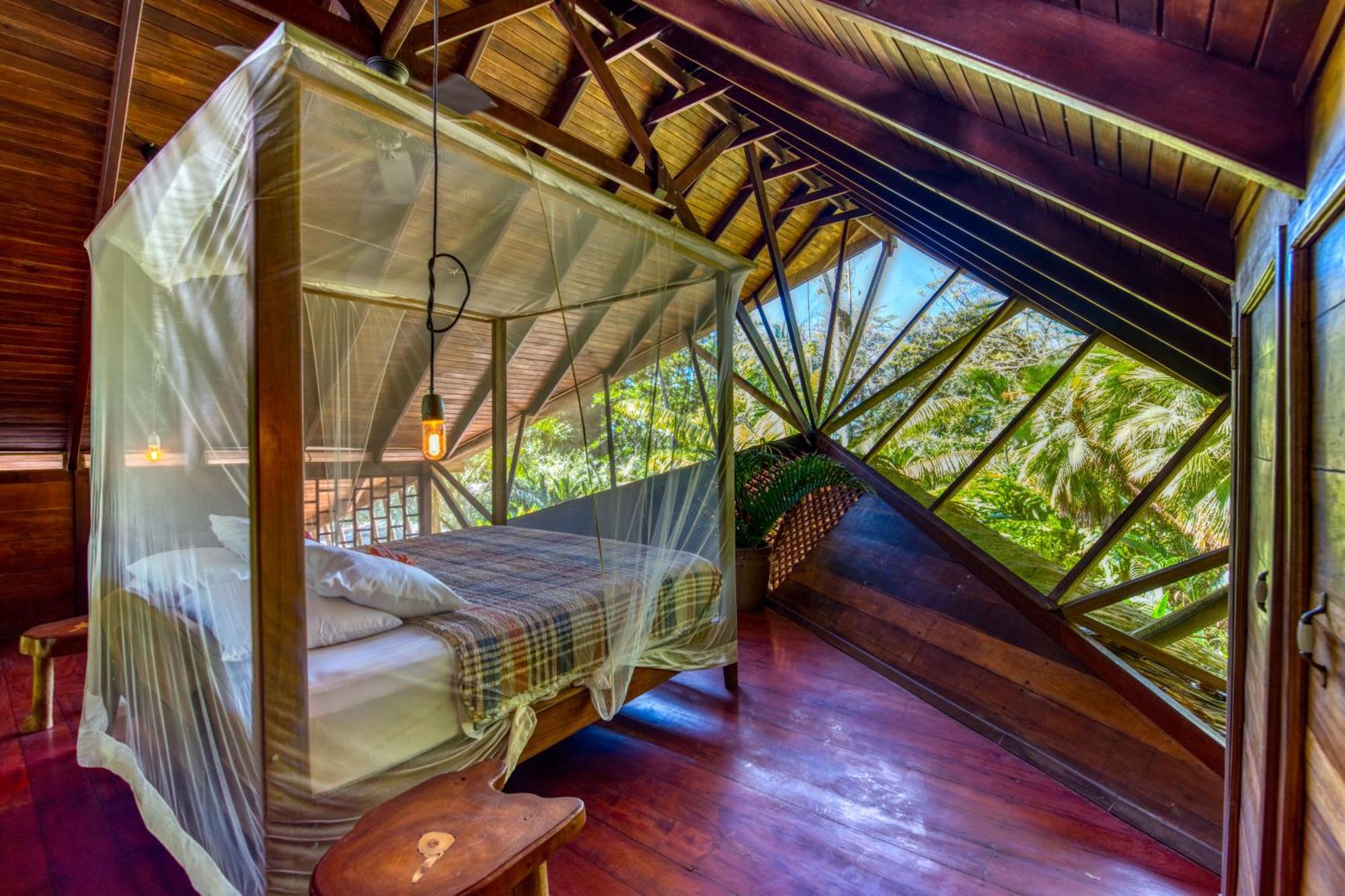 树屋山林小屋 Puerto Viejo de Talamanca 外观 照片