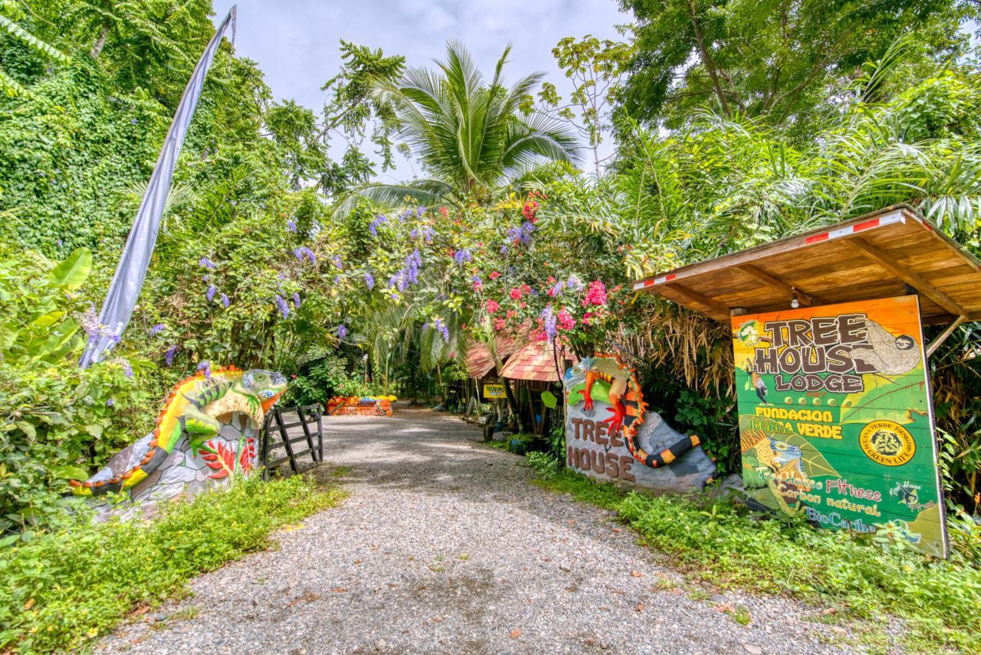 树屋山林小屋 Puerto Viejo de Talamanca 外观 照片