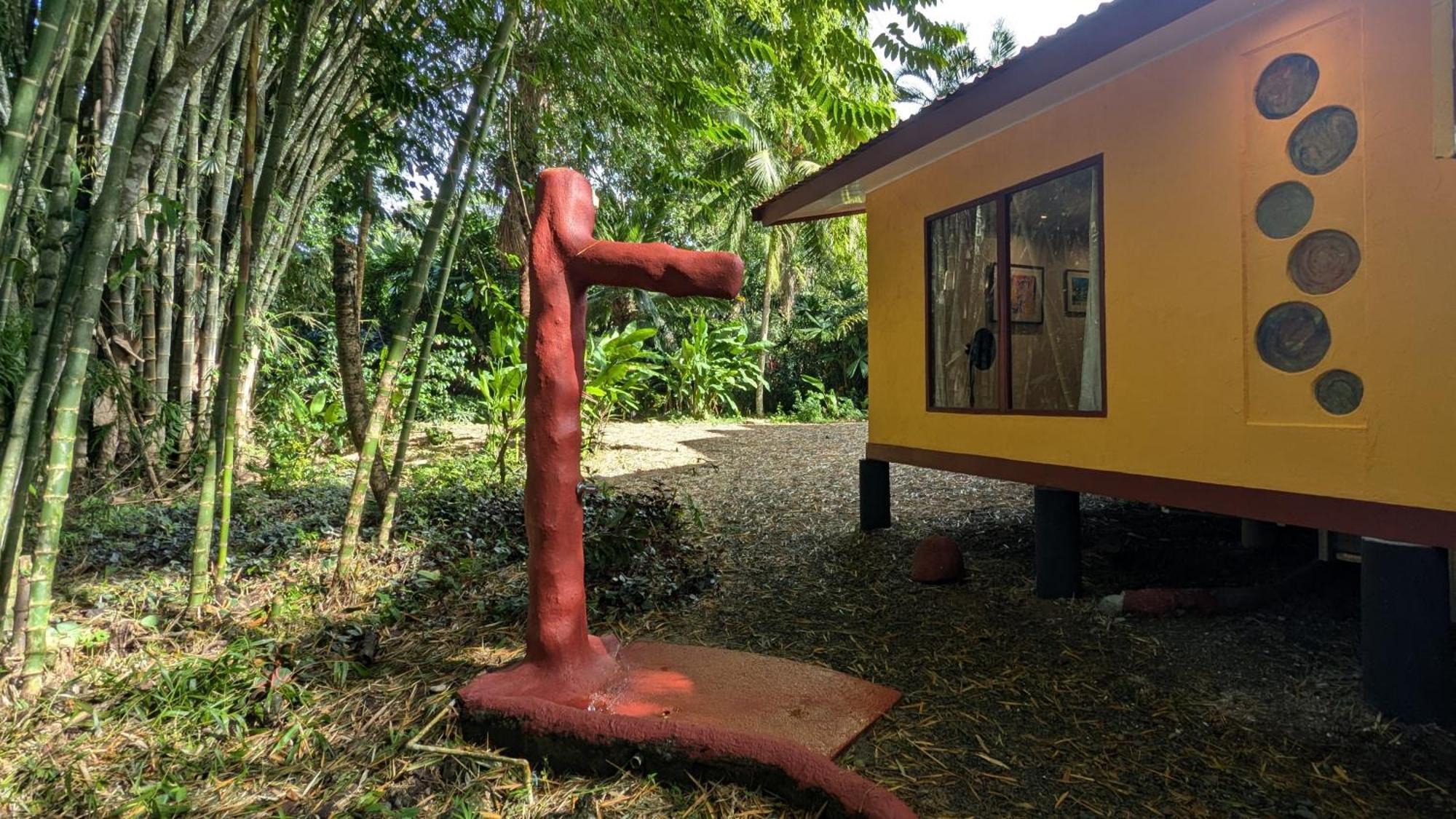 树屋山林小屋 Puerto Viejo de Talamanca 外观 照片