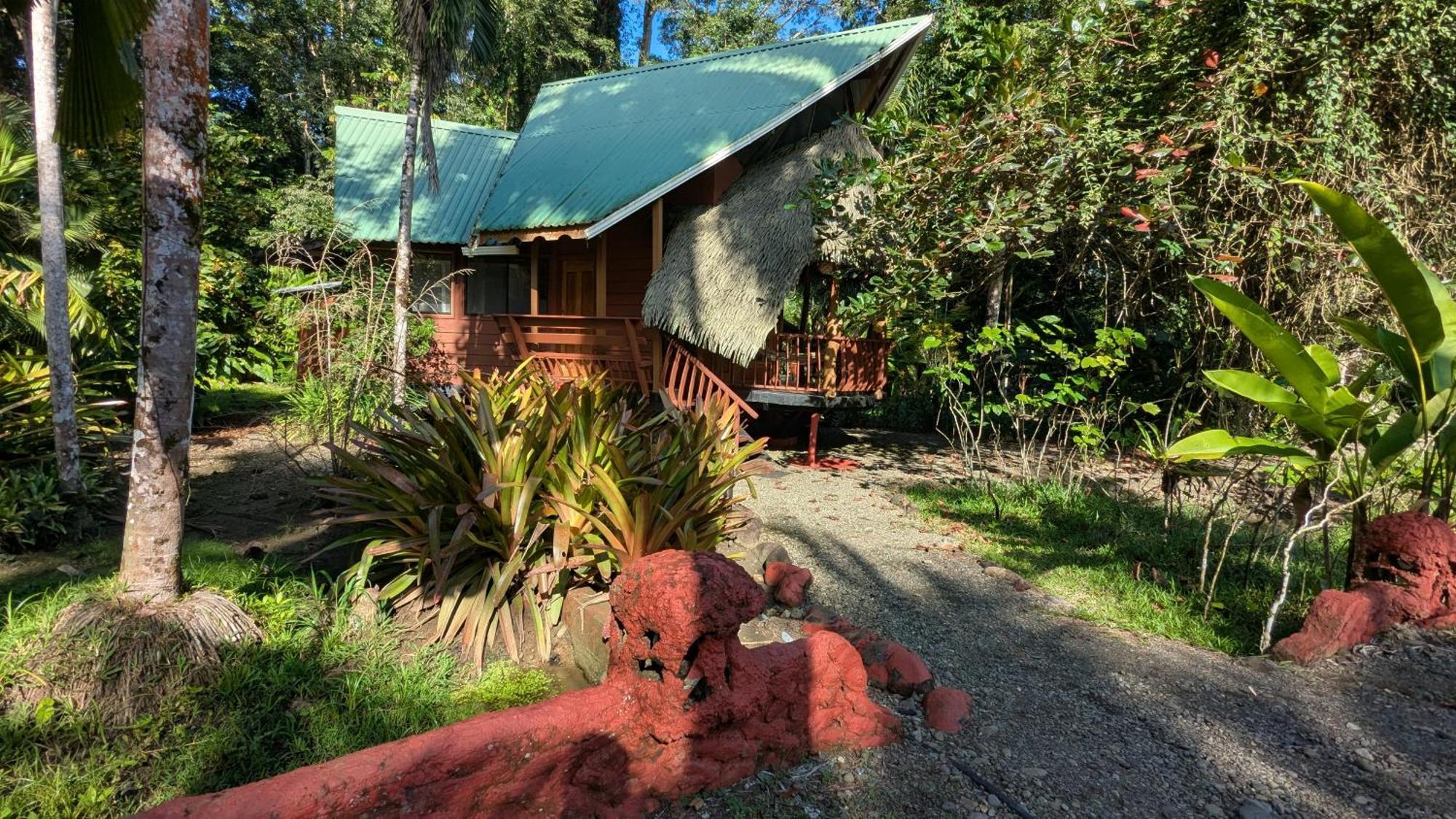 树屋山林小屋 Puerto Viejo de Talamanca 外观 照片