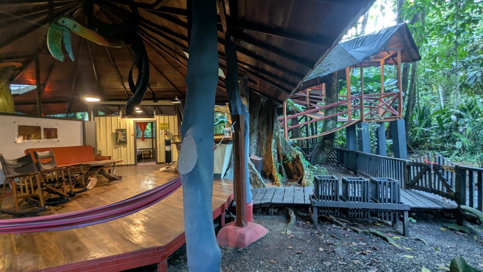 树屋山林小屋 Puerto Viejo de Talamanca 外观 照片