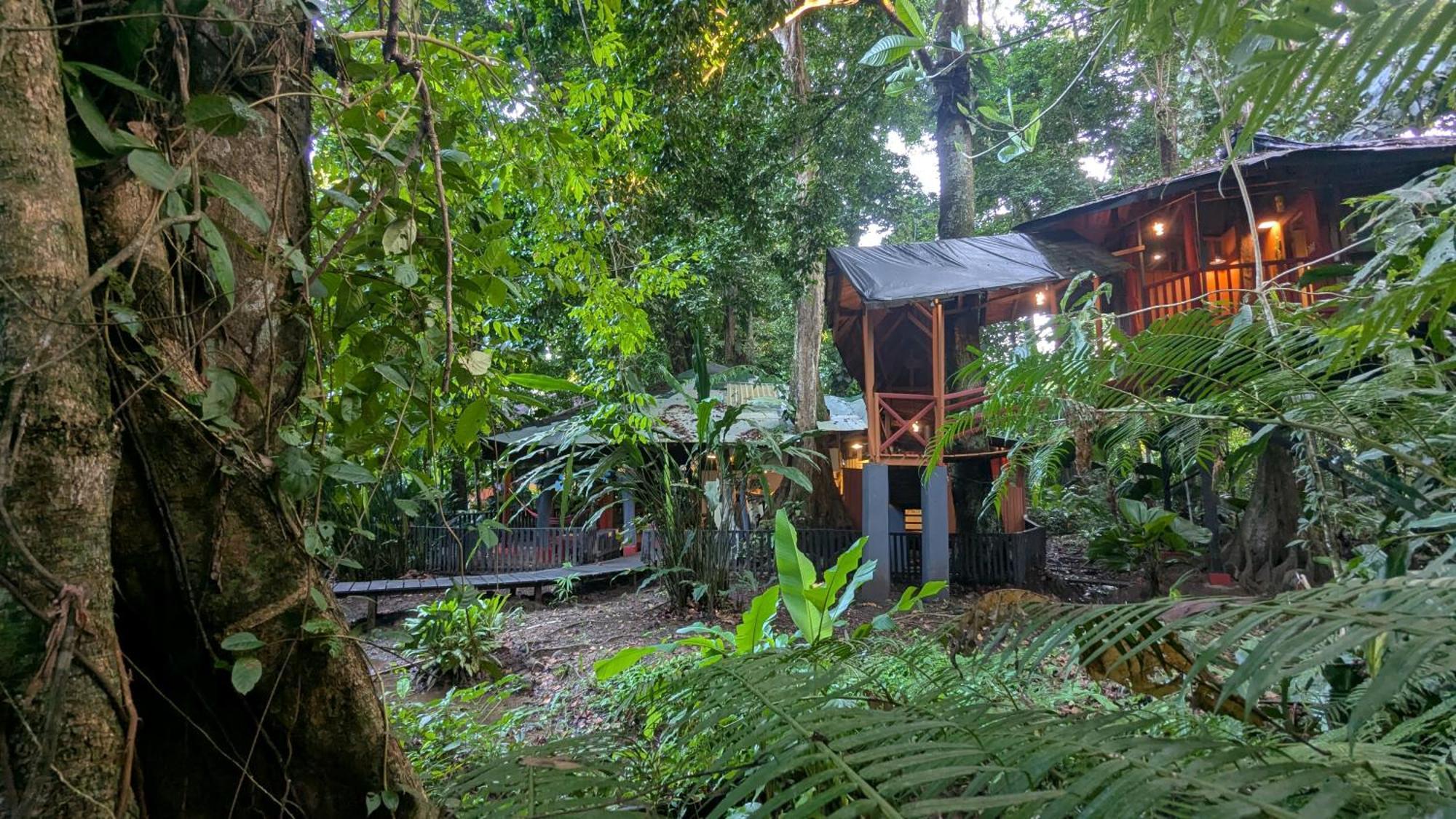 树屋山林小屋 Puerto Viejo de Talamanca 外观 照片