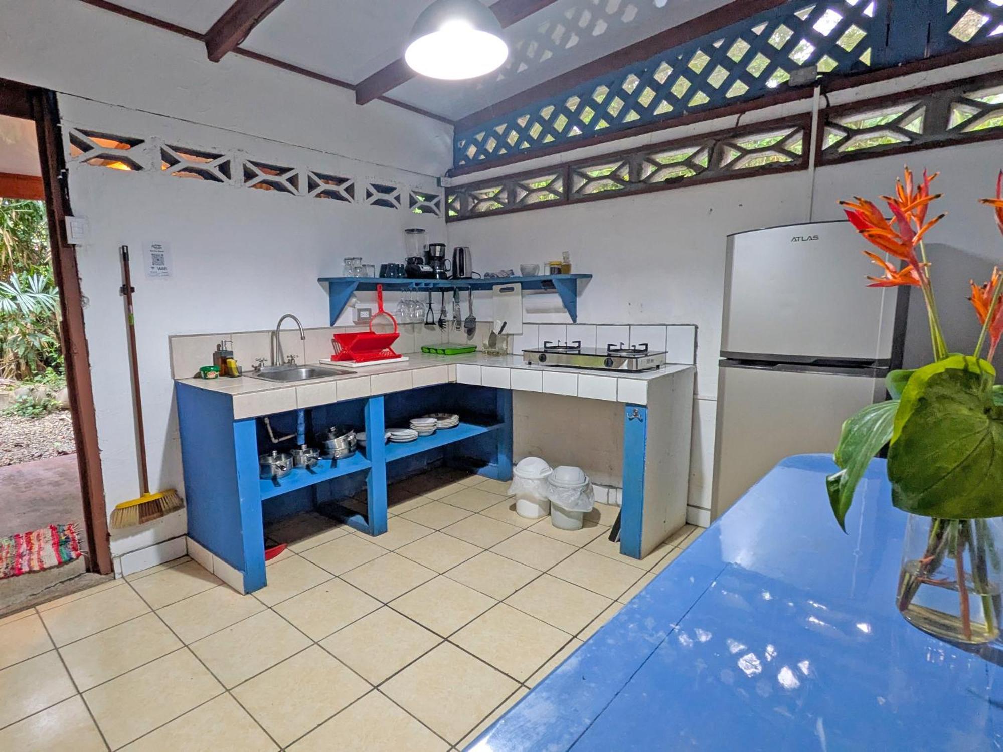 树屋山林小屋 Puerto Viejo de Talamanca 外观 照片